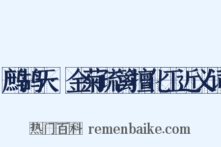 鹧鸪天·金菊疏篱擅化工近义词是什么意思的图片